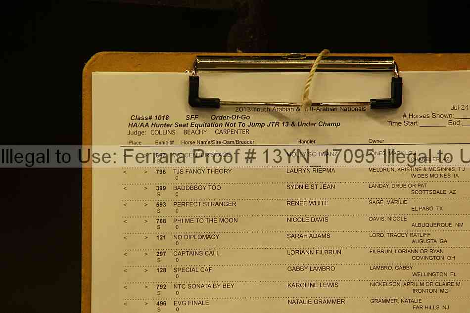 Proof Number 13yn_17095