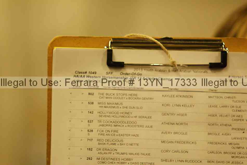 Proof Number 13yn_17333