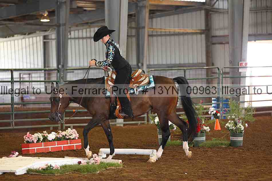 Proof Number 13yn_00963