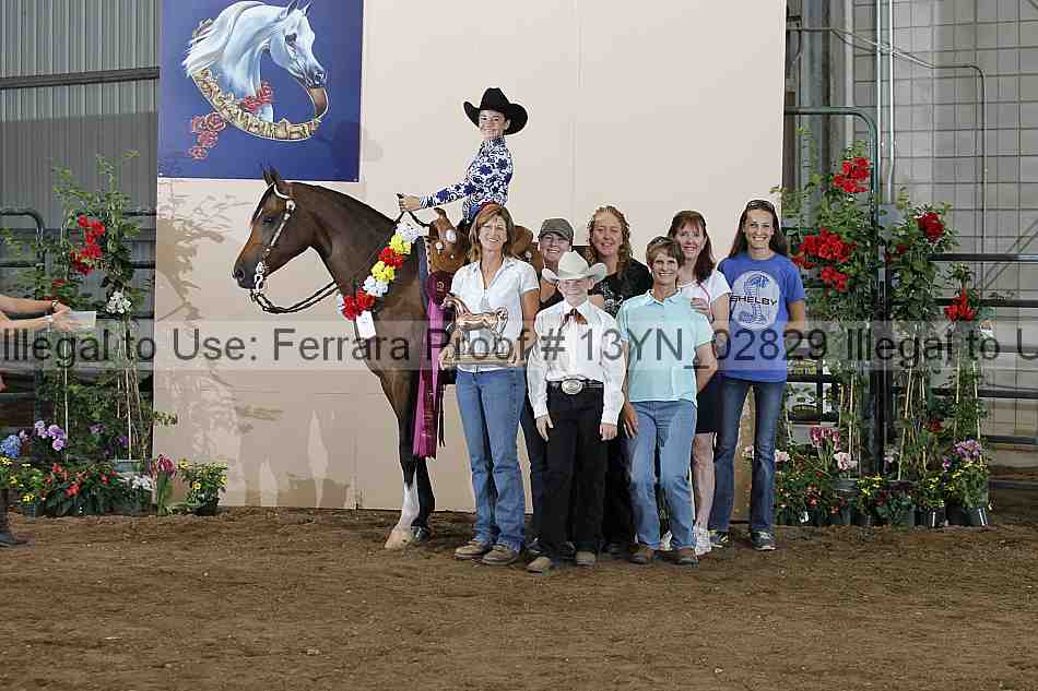 Proof Number 13yn_02829
