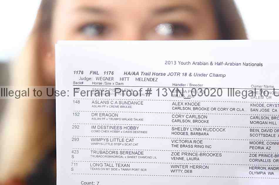 Proof Number 13yn_03020