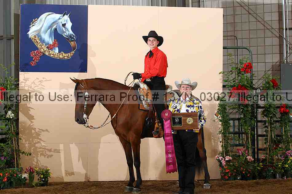 Proof Number 13yn_03027