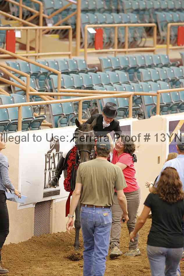 Proof Number 13yn_25041