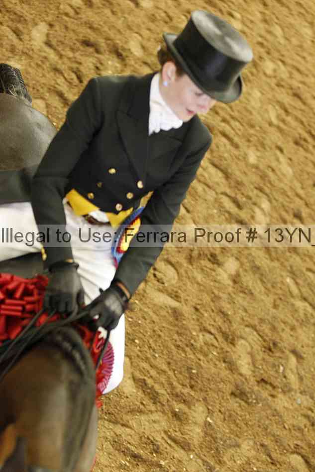 Proof Number 13yn_25091
