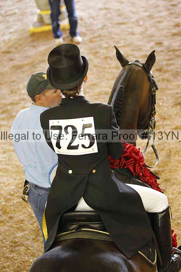 Proof Number 13yn_25095