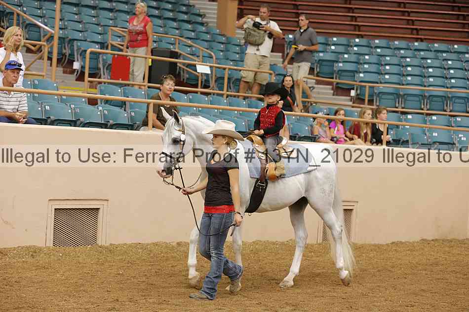 Proof Number 13yn_21029