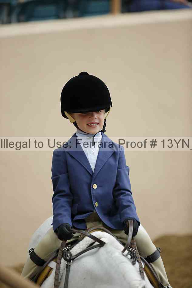 Proof Number 13yn_21032