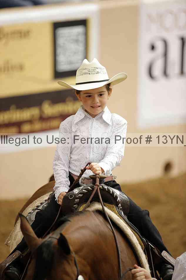 Proof Number 13yn_21048