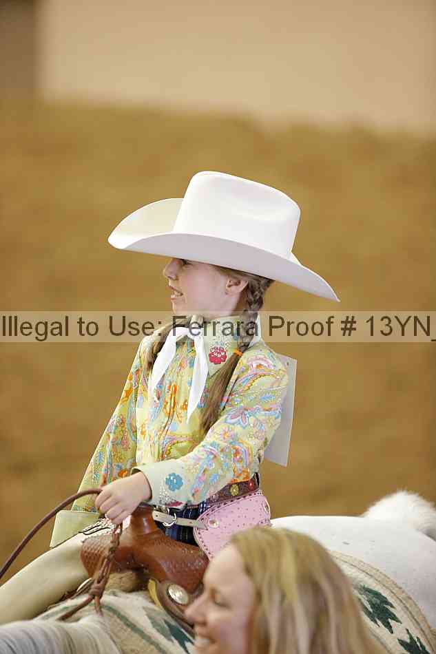 Proof Number 13yn_21066