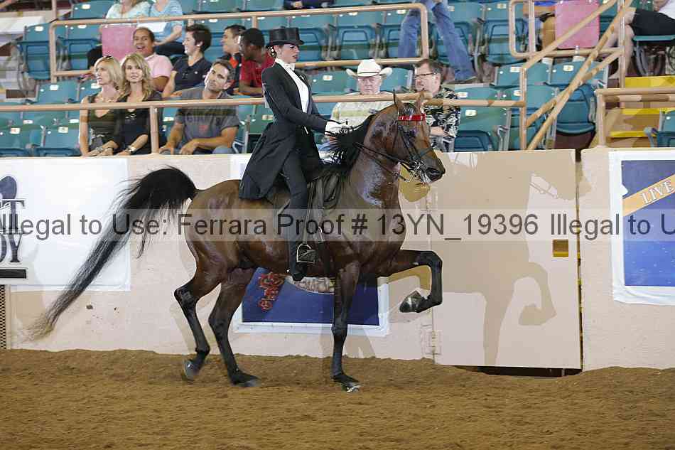 Proof Number 13yn_19396