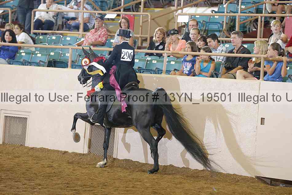 Proof Number 13yn_19501