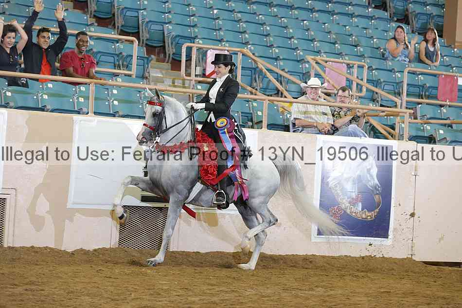 Proof Number 13yn_19506