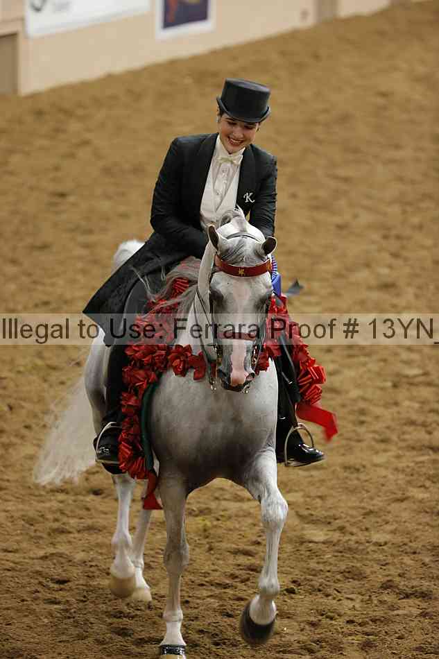 Proof Number 13yn_19513
