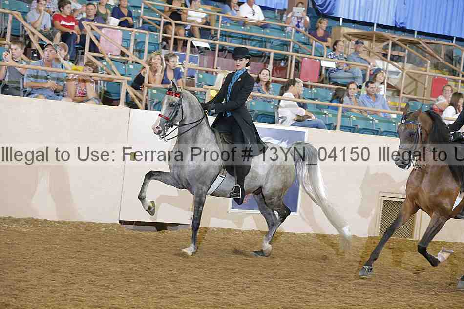 Proof Number 13yn_04150