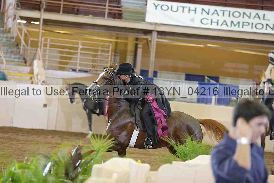 Proof Number 13yn_04216