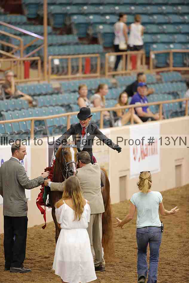 Proof Number 13yn_04222