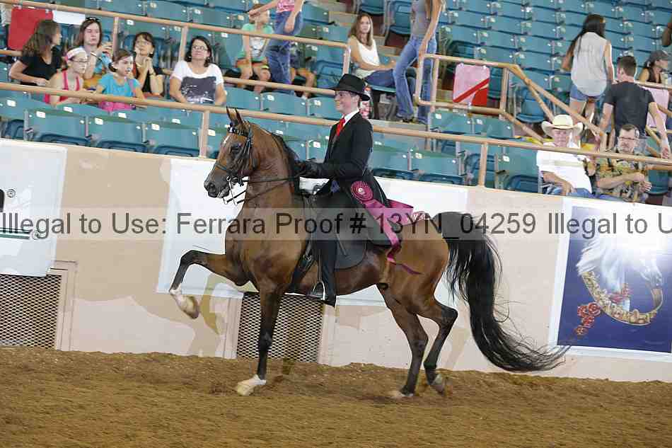 Proof Number 13yn_04259