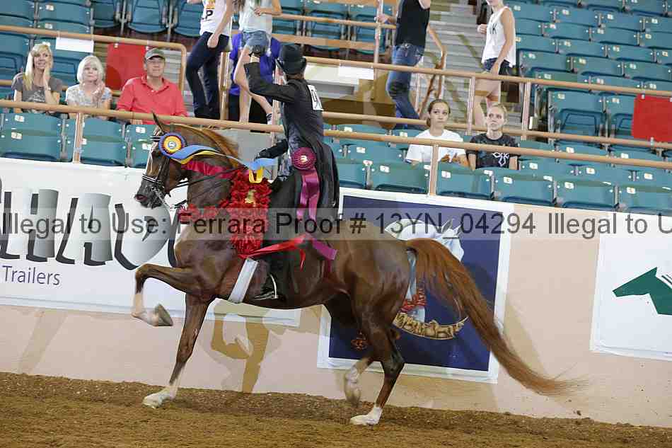 Proof Number 13yn_04294