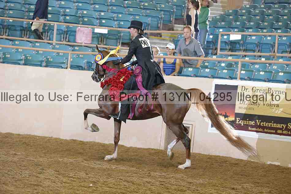 Proof Number 13yn_04295