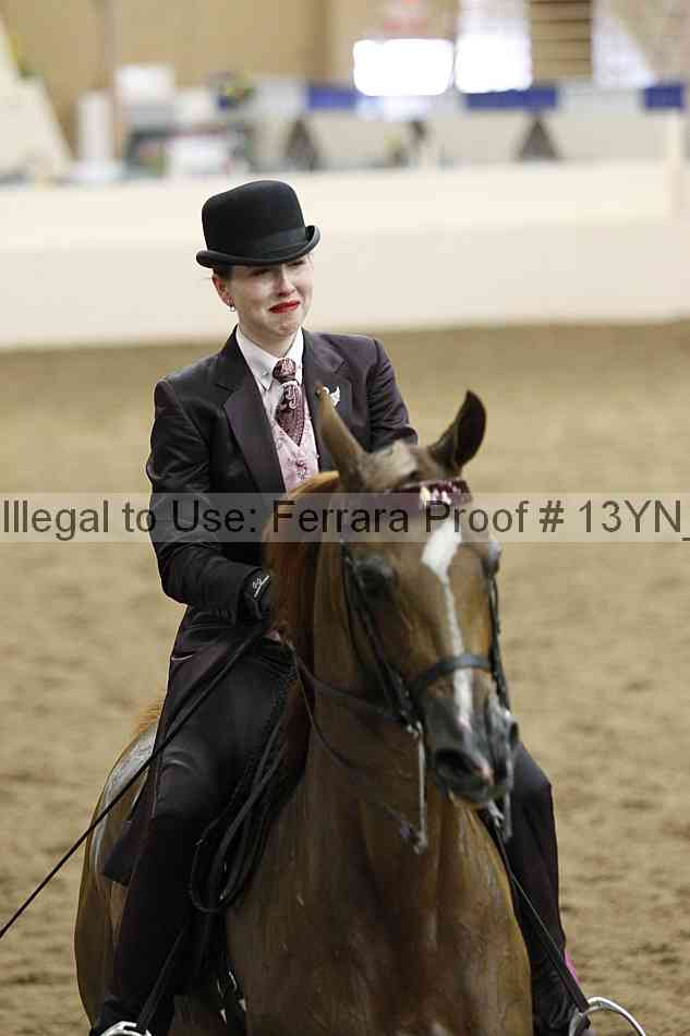Proof Number 13yn_11264