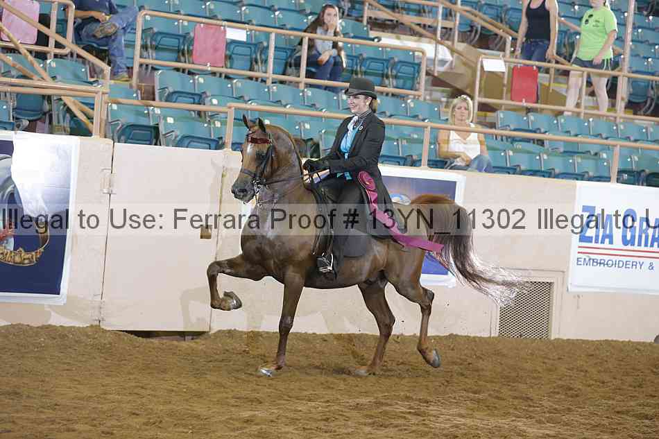 Proof Number 13yn_11302