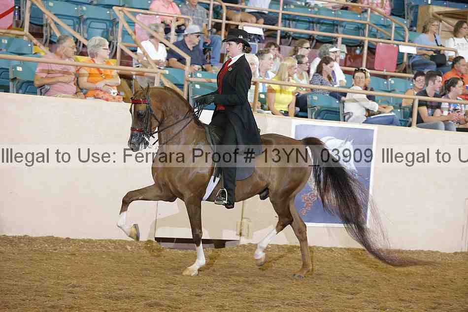 Proof Number 13yn_03909