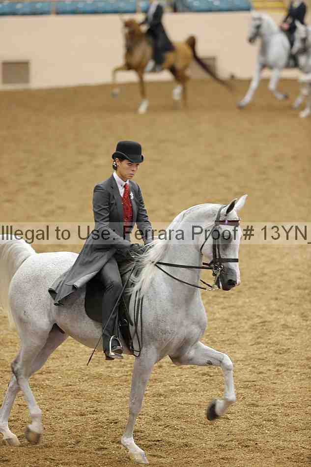 Proof Number 13yn_03924
