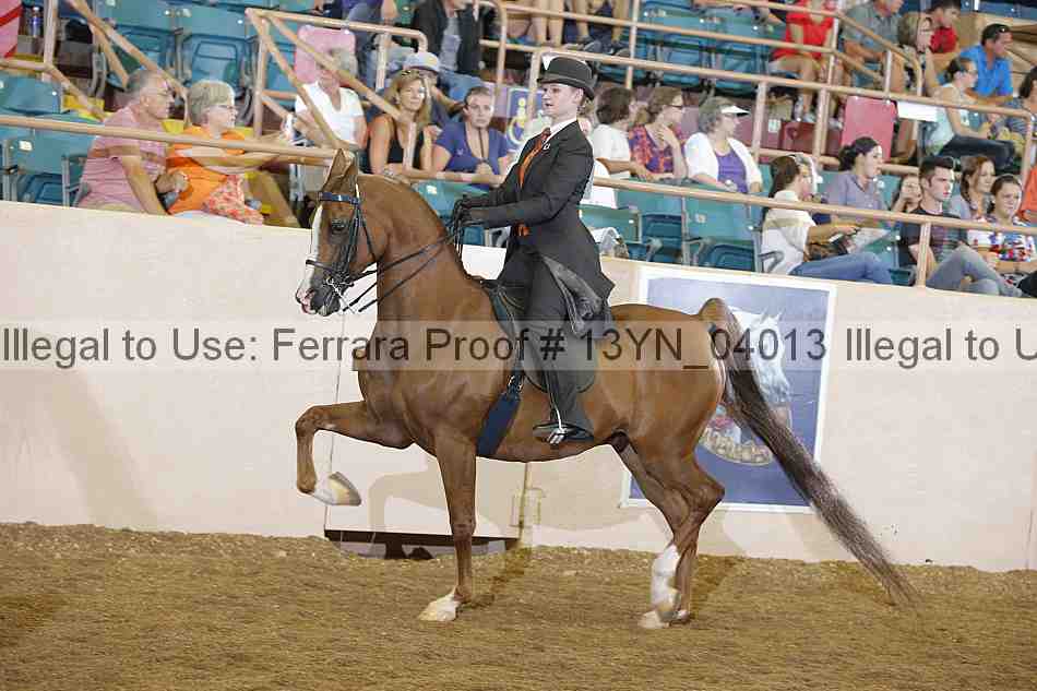 Proof Number 13yn_04013
