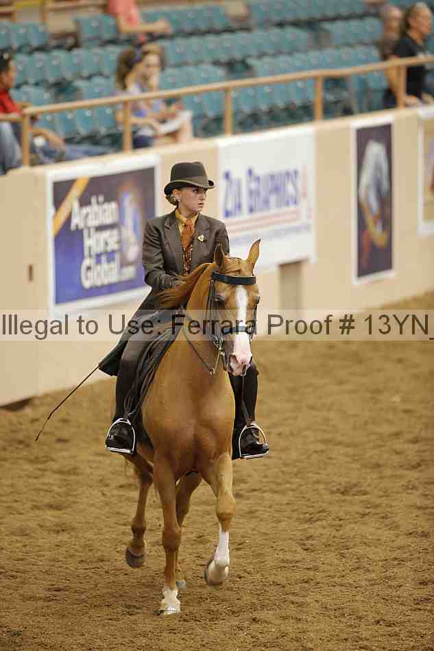 Proof Number 13yn_04022
