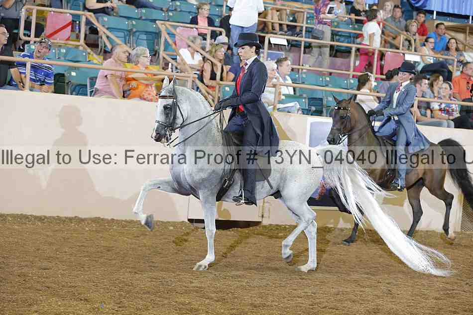 Proof Number 13yn_04040
