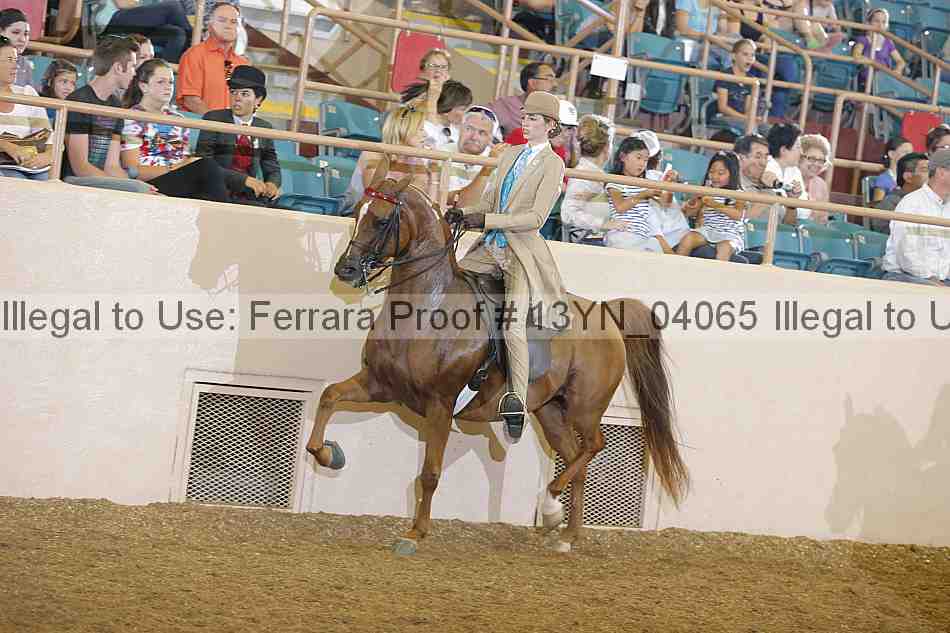 Proof Number 13yn_04065