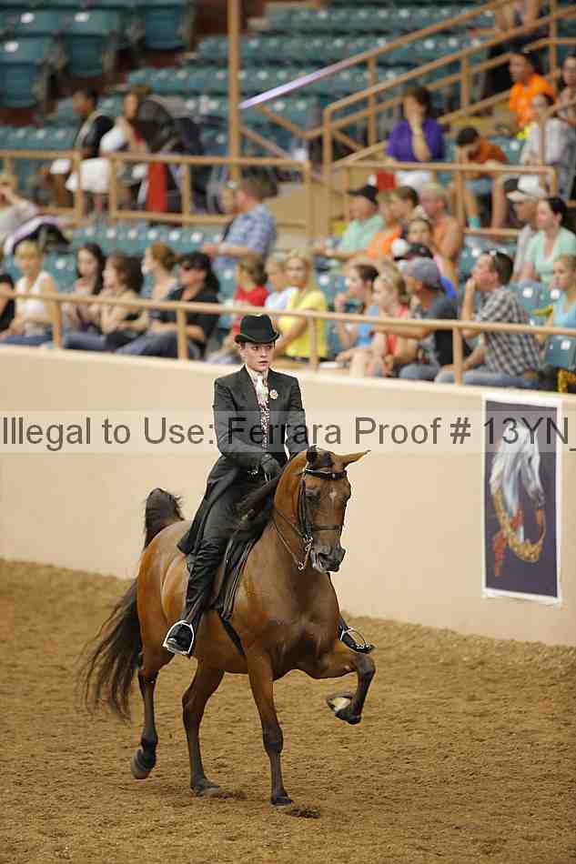 Proof Number 13yn_04082