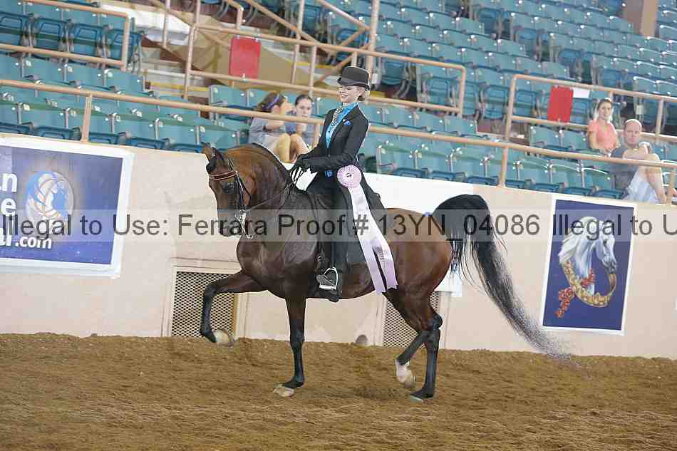 Proof Number 13yn_04086