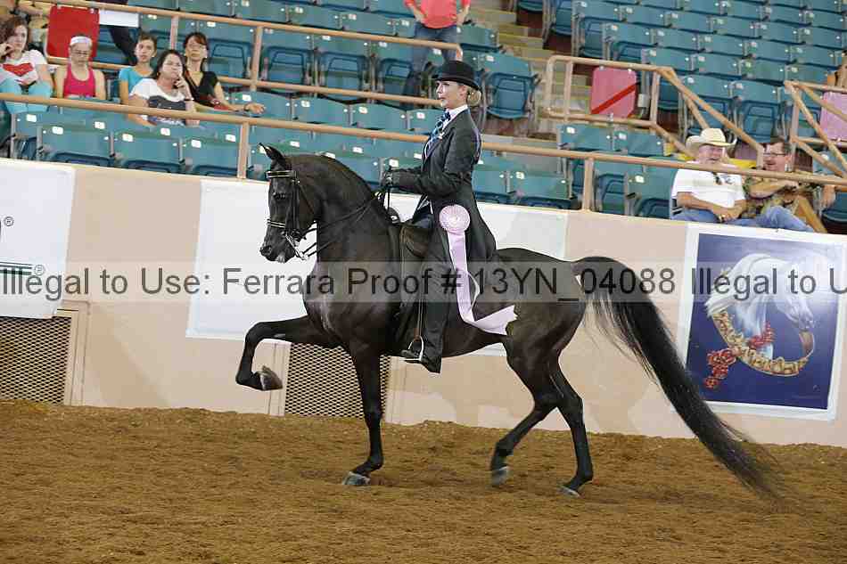Proof Number 13yn_04088
