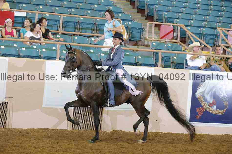 Proof Number 13yn_04092