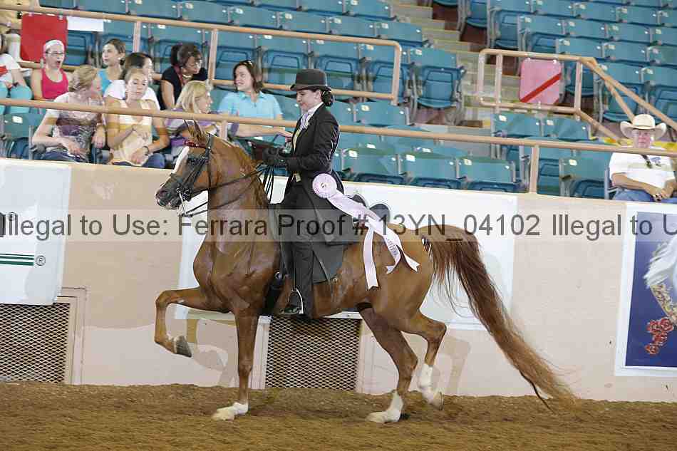 Proof Number 13yn_04102