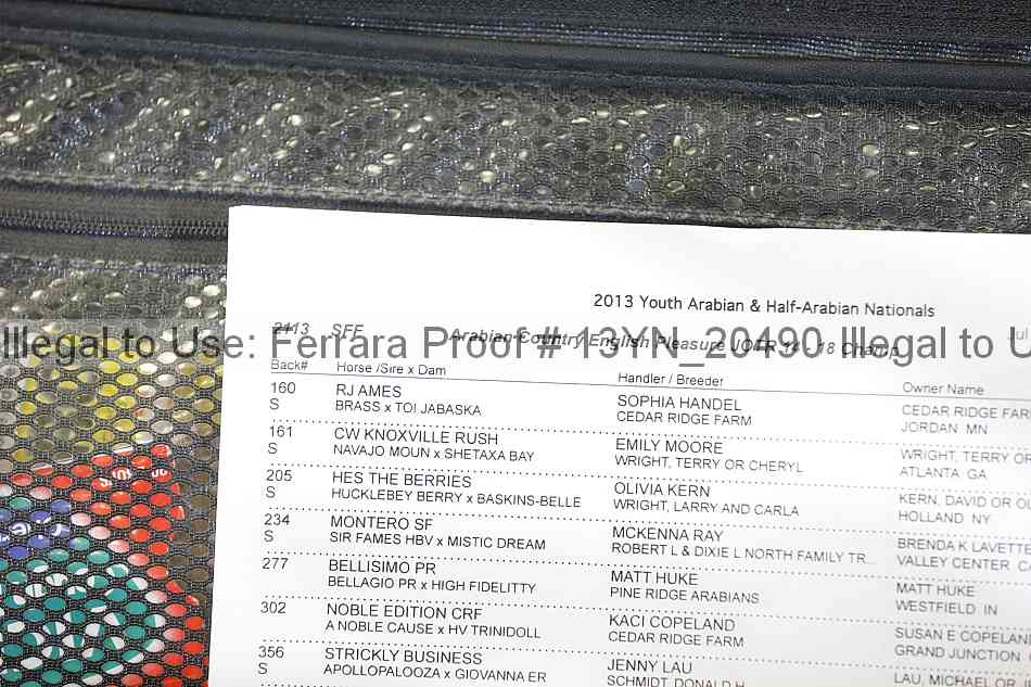 Proof Number 13yn_20490