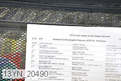 13yn_20490 thumbnail