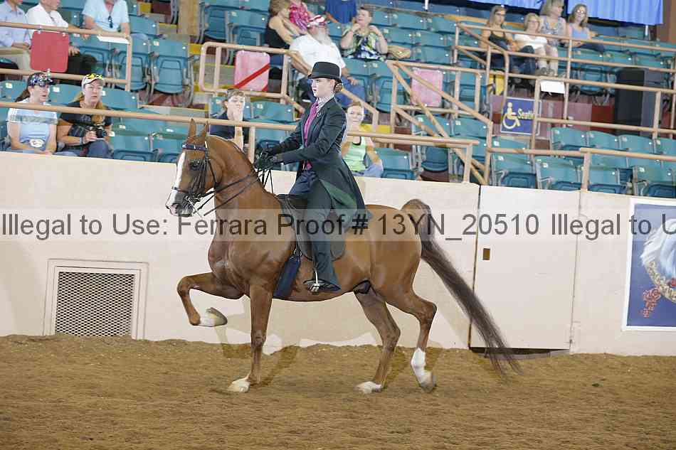 Proof Number 13yn_20510