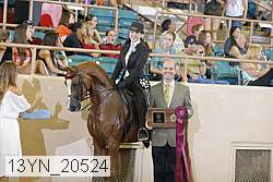 13yn_20524 thumbnail