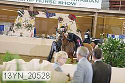 13yn_20528 thumbnail