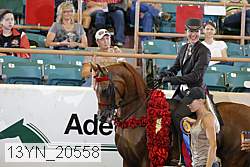 13yn_20558 thumbnail