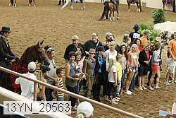 13yn_20563 thumbnail