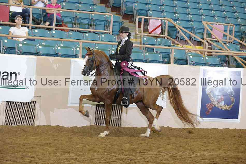 Proof Number 13yn_20582