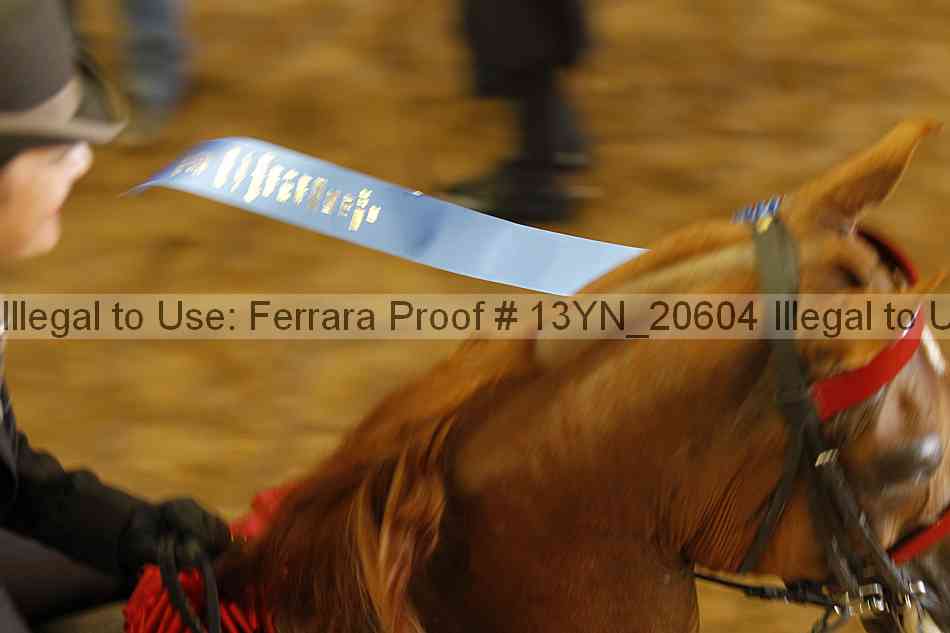 Proof Number 13yn_20604