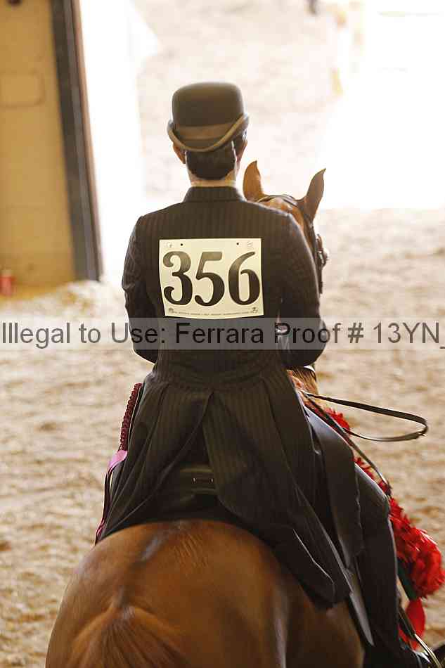 Proof Number 13yn_20609