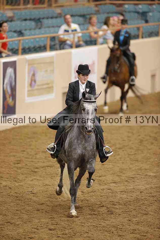 Proof Number 13yn_07426
