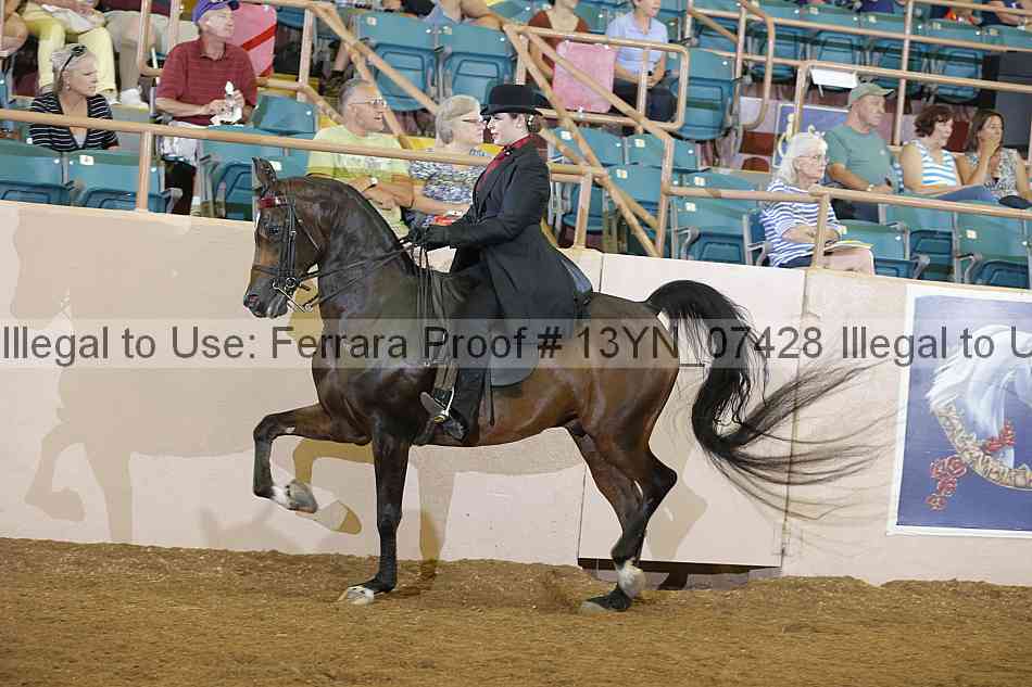 Proof Number 13yn_07428