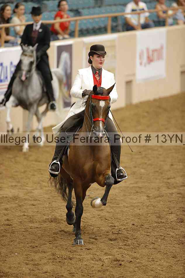 Proof Number 13yn_07429
