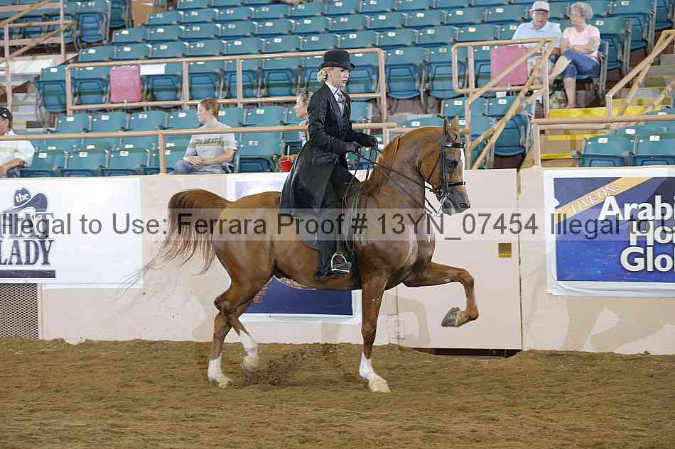 Proof Number 13yn_07454
